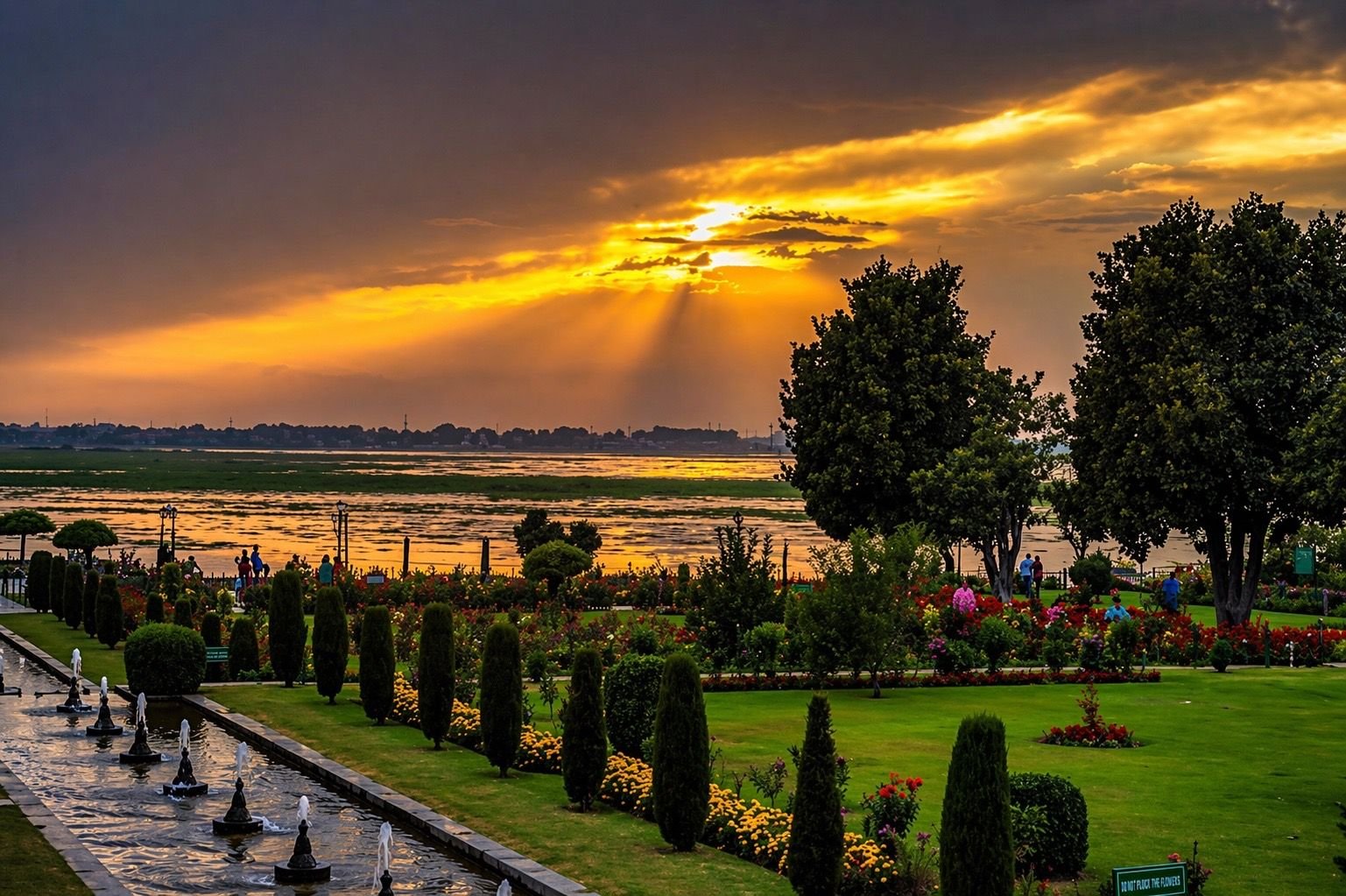 Kashmir garden